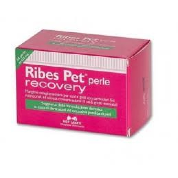 ribes-pet-recovery-60-perle